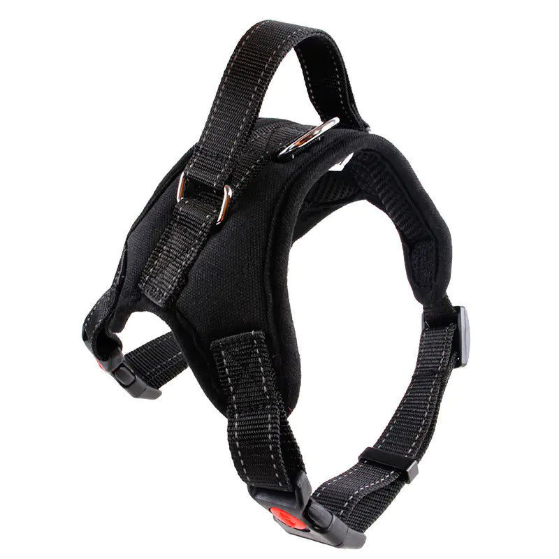 Small Dog Vest with Rope Chest and Back Design