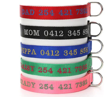 Dog Collar with Anti-Loss and Embroidered Design